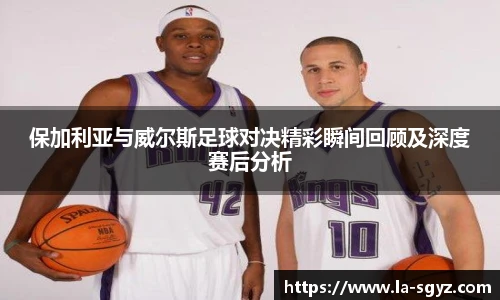 保加利亚与威尔斯足球对决精彩瞬间回顾及深度赛后分析